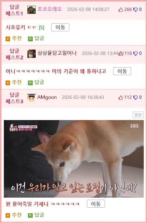 잘생긴 남자를 보면 실실웃고 오줌싸는 시바견.jpg_004