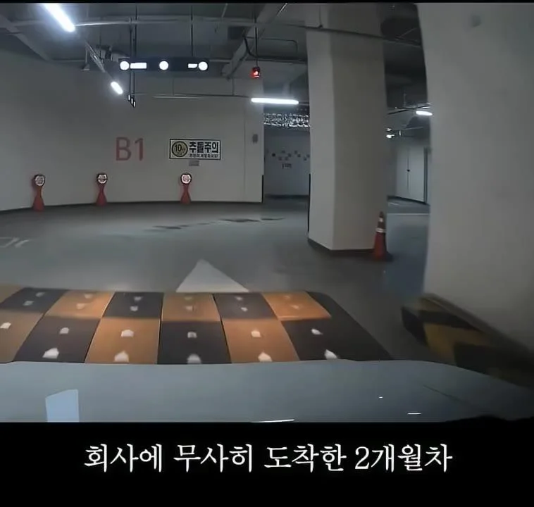 🚙초보운전자의 귀여운 자동차 사고🤣