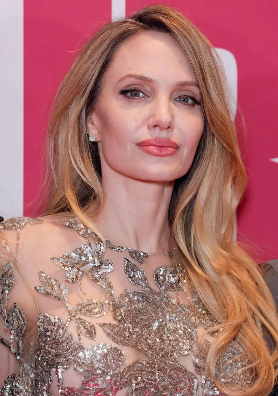 현 50세 안젤리나 졸리 근황_003