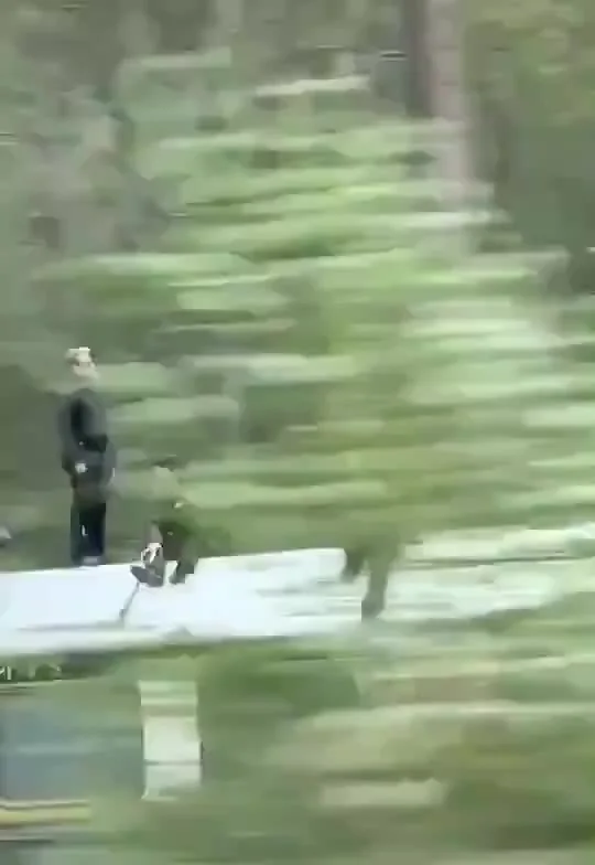 운전길에서 톰 크루즈를 만난 사람